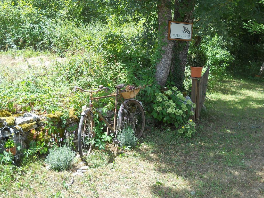 Villa Le Domaine De La Genette à Paussac-et-Saint-Vivien Extérieur photo